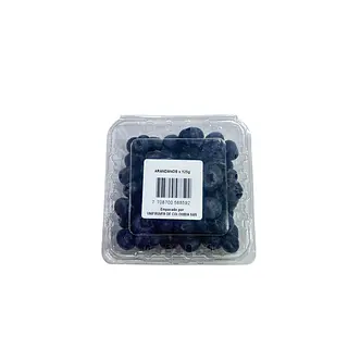 Arandanos X125g