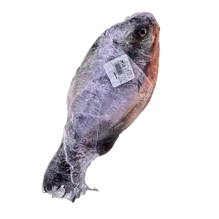 Pescado El Gran Pez Cachama
