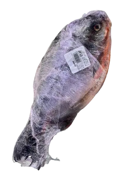 Pescado El Gran Pez Cachama