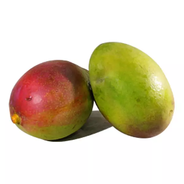 Mango Tommy 500gr