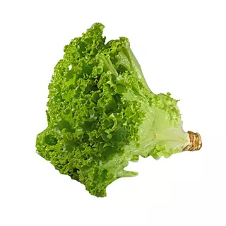 Lechuga Crespa Unidad