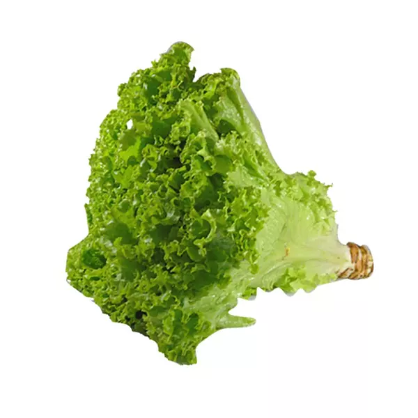 Lechuga Crespa Unidad