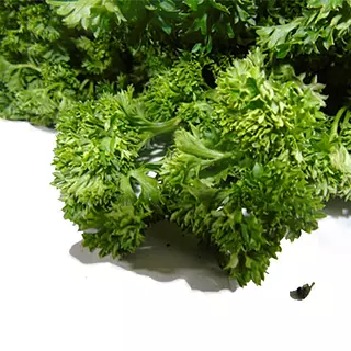 Perejil Crespo 500gr