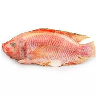 Tilapia Fresmar 1000gr