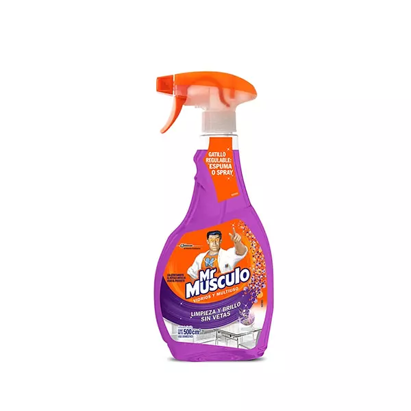 Limpia Vidrios Mr Gatillo 500ml Und